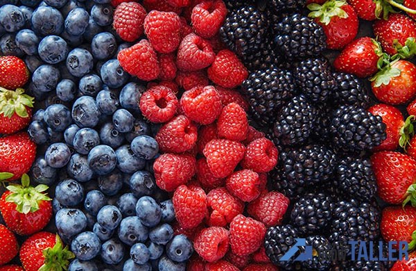 berries-food-to-increase-height