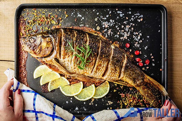 Fish-food-to-increase-height-2