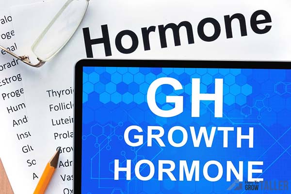human-growth-hormone-howtogrowtaller