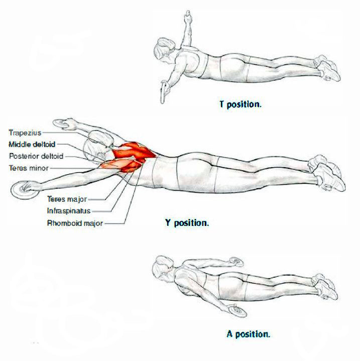 Do-stretching-exercises-dry-land-swim-3