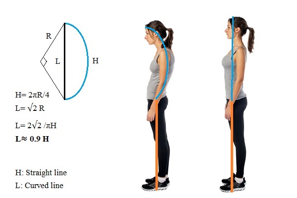 poor-posture-reduces-height