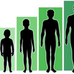 Factors affecting height growth of a person