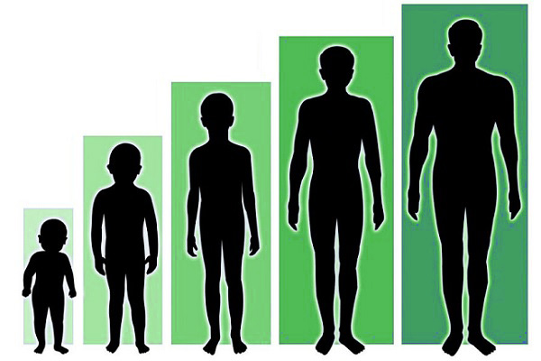 Factors affecting height growth of a person