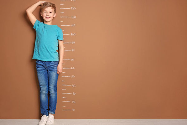 The average height for an 11-year-old