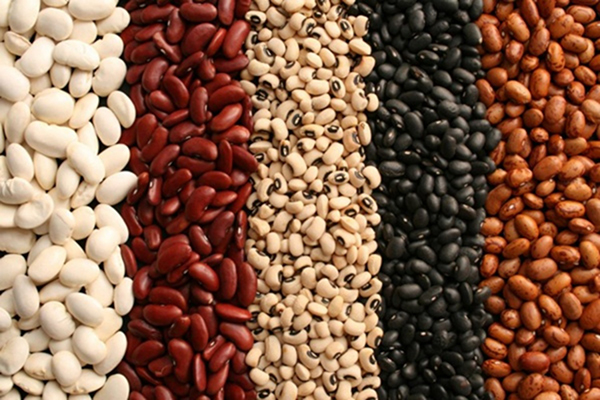 do-beans-make-you-grow-taller