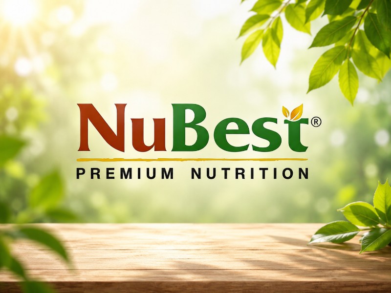 nubest-1 (7)